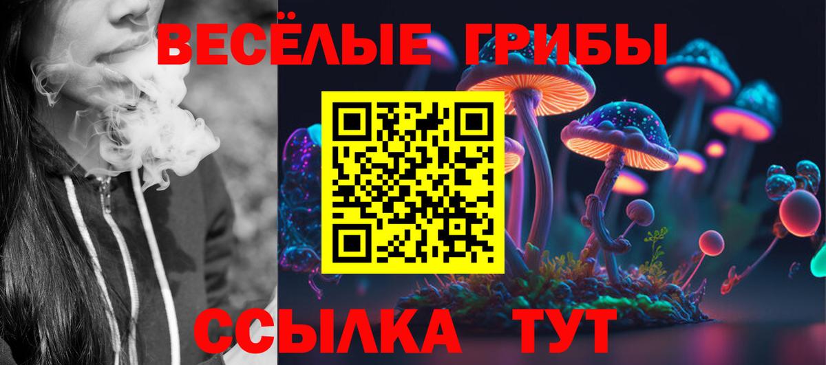 где продают наркотики  Галлюциногенные грибы ЛСД  Вход с VPN  Алексеевка 